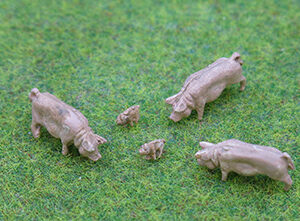 Pigs and Piglets