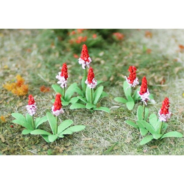 Primroses (Pack of 32)