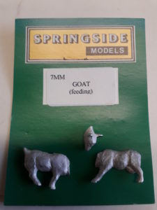 Goat Feeding