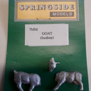 Goat Feeding