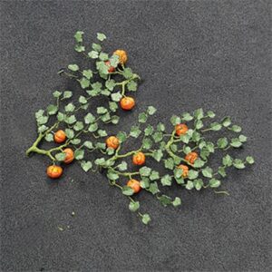 Pumpkins (Pack of 5)