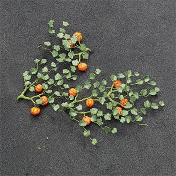 Pumpkins (Pack of 5)