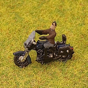 Harley Davidson and Rider